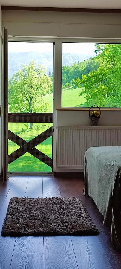 Gorski Widok Karpacz Apartamenty I Pokoje- Salon Kominkowy Kültér fotó
