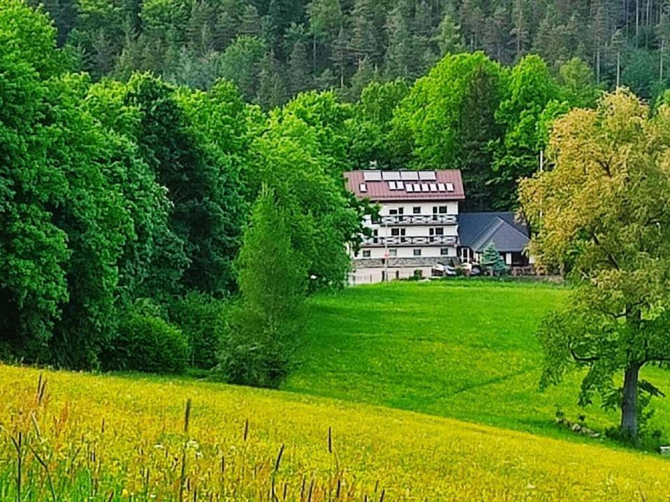Gorski Widok Karpacz Apartamenty I Pokoje- Salon Kominkowy Kültér fotó